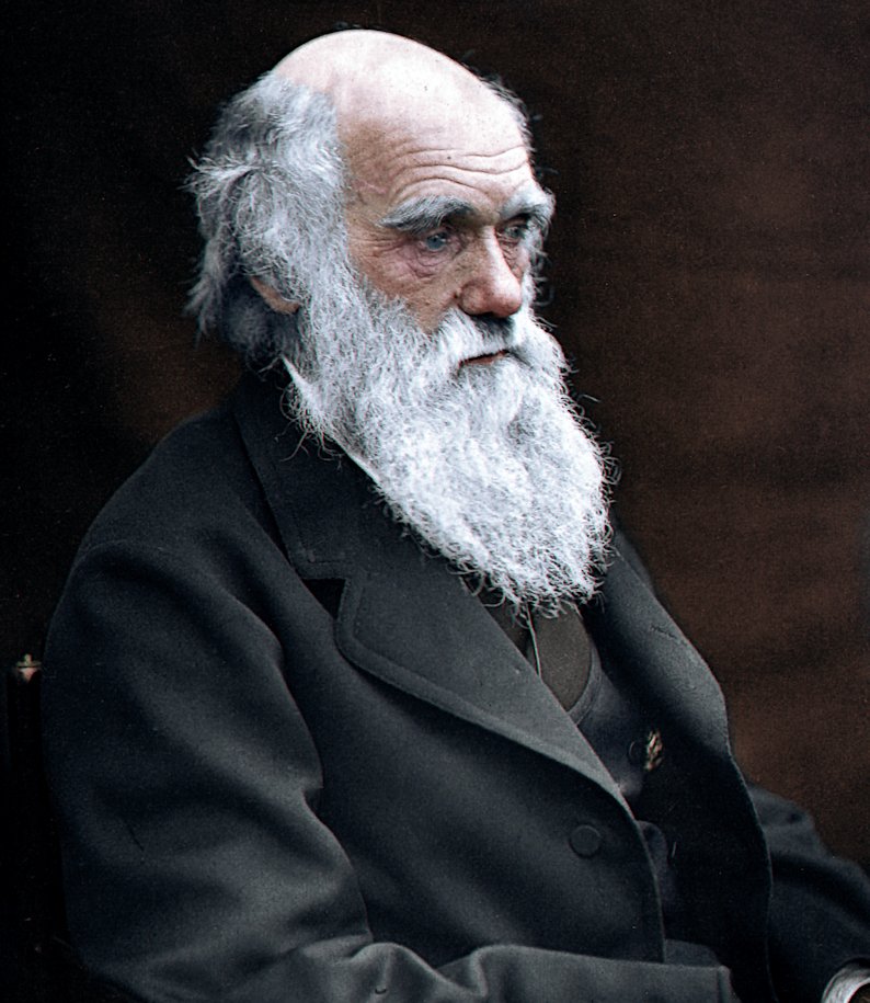 2. DARWIN