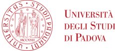logo padova